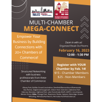 Mega Connect  Multi Chamber Virtual Networking 