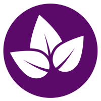 Public Engagement Meeting #1