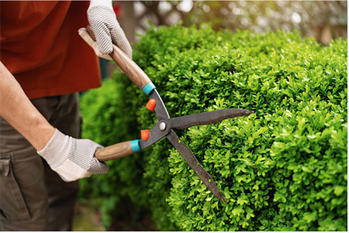 Gallery Image Trades_Photos_page_32.png