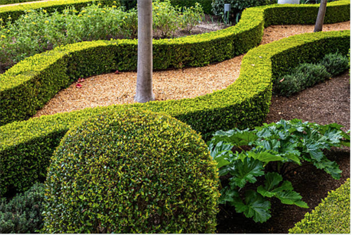 Gallery Image Trades_Photos_page_38.png