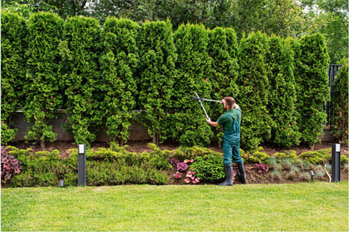 Gallery Image Trades_Photos_page_39.png