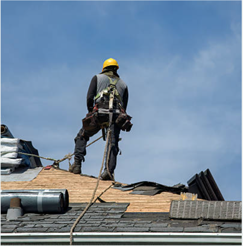 Gallery Image Trades_Photos_page_4.png