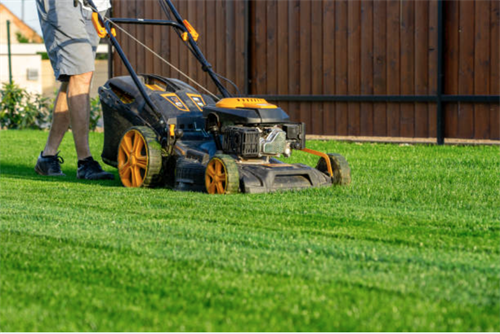 Gallery Image Trades_Photos_page_40.png