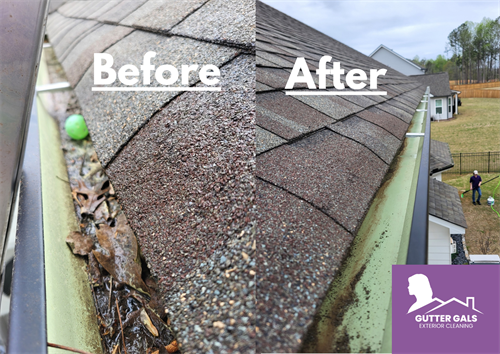 Gallery Image gutterbeforeandafter3.png