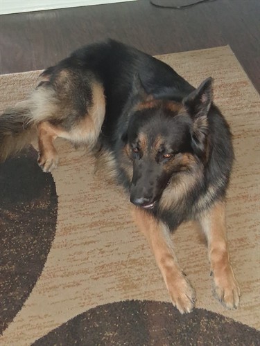 Kane 4 years old