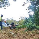 Bush hogging: Underbrush removal 
