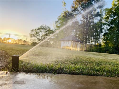 Gallery Image Irrigation_3_pic.jpg
