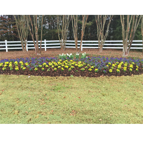 Gallery Image Ivy_Ridge_photo.png