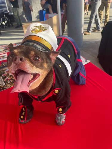 Gallery Image 1000015057.jpg Gallery Image 1000015057.jpg