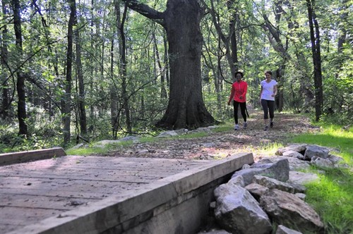 Positioned right next to Three Forks Conservation