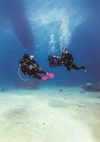 Kung Fu Divers, LLC - Palm Bay