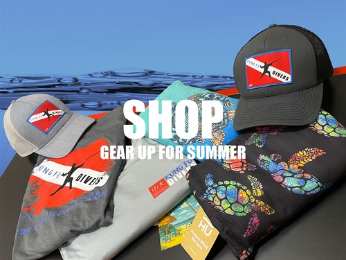 Visit our shop and gear up for your dives!