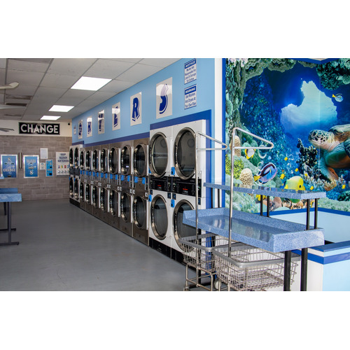 Gallery Image 02_Dryers_and_Ocean_Mural_500.jpg