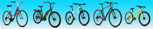 Gallery Image bikelineup.jpg Gallery Image bikelineup.jpg