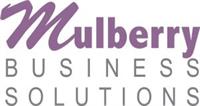 Mulberry Business Solutions