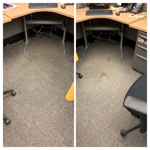 Commercial Carpet Cleaning - office before / after