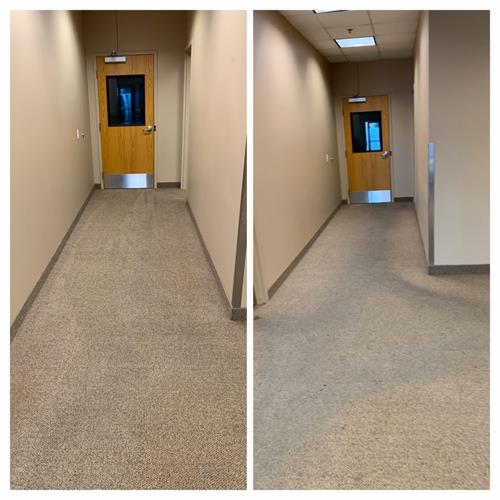 Commercial Carpet Cleaning - Apartment before/after