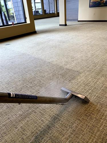 Commercial Carpet Cleaning - Office before/after