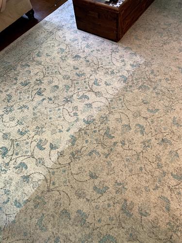 Residential Carpet Cleaning - Area Rug before / after