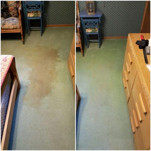 Residential Carpet Cleaning - before / after