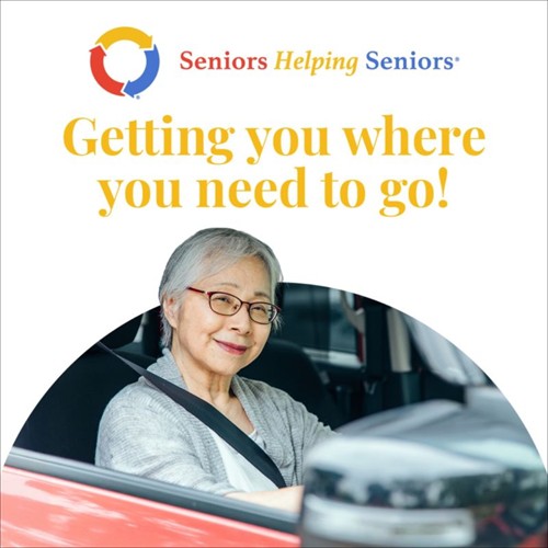 Gallery Image Transport.jpeg