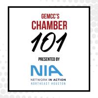 GEMCC's Chamber 101 presented by Network In Action