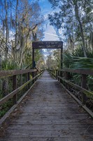 Barataria Preserve - Wetland Trace Walk
