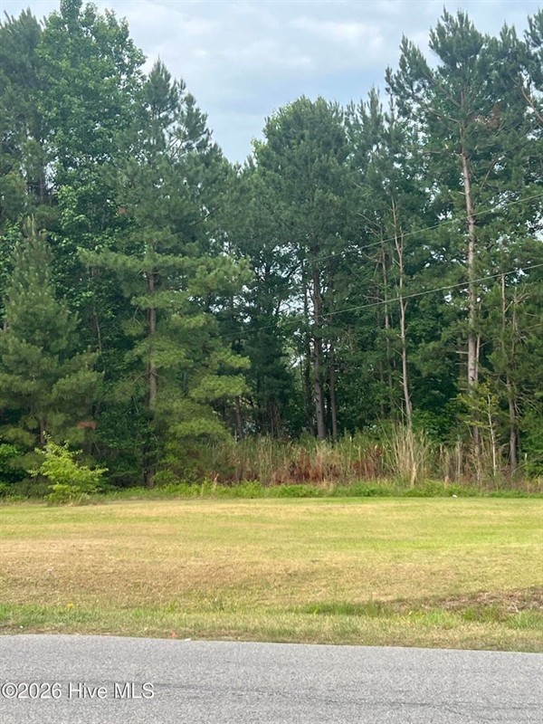 508 Strickland Drive, Princeville, NC - Land