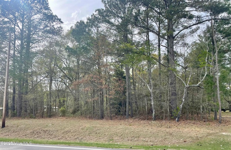 0 NC 122 N, Tarboro, NC - Land