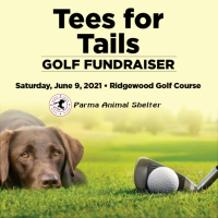 Parma Animal Shelter Tees for Tails Golf Fundraiser