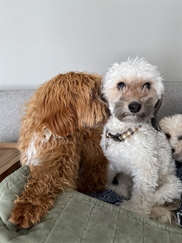 Gallery Image IMG_5045.jpeg Gallery Image IMG_5045.jpeg