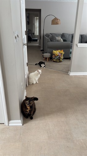 Gallery Image IMG_6027.jpeg Gallery Image IMG_6027.jpeg