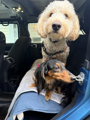 Gallery Image IMG_7157.jpeg Gallery Image IMG_7157.jpeg