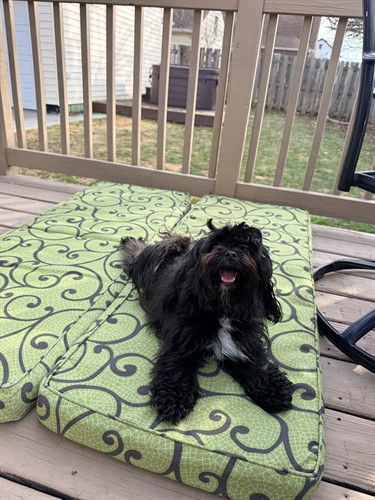 Gallery Image IMG_7311.jpeg Gallery Image IMG_7311.jpeg