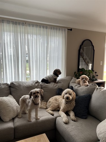 Gallery Image IMG_7696.jpeg Gallery Image IMG_7696.jpeg