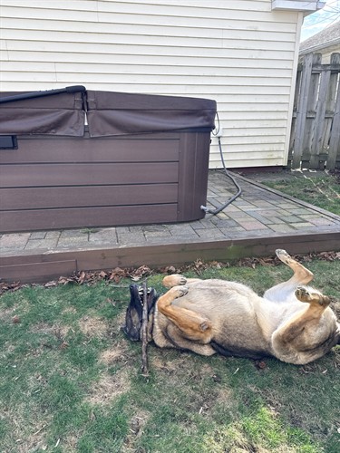 Gallery Image IMG_7718.jpeg Gallery Image IMG_7718.jpeg