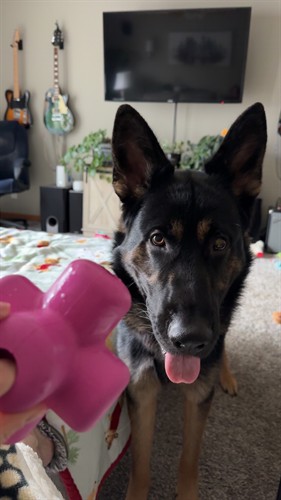 Gallery Image IMG_8029.jpeg Gallery Image IMG_8029.jpeg