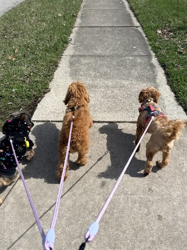 Gallery Image IMG_8241.jpeg Gallery Image IMG_8241.jpeg