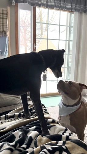 Gallery Image IMG_8400.jpeg Gallery Image IMG_8400.jpeg