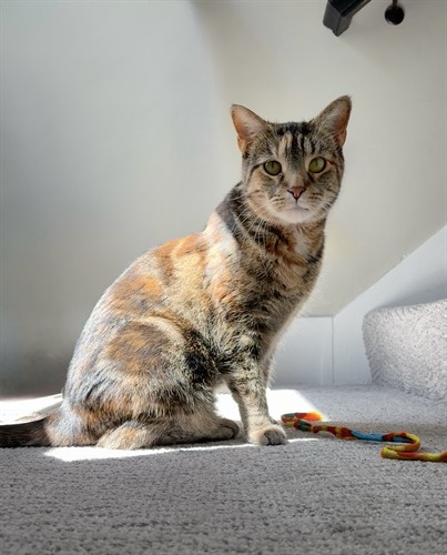 Gallery Image IMG_9450_SnapseedCopy.jpeg Gallery Image IMG_9450_SnapseedCopy.jpeg