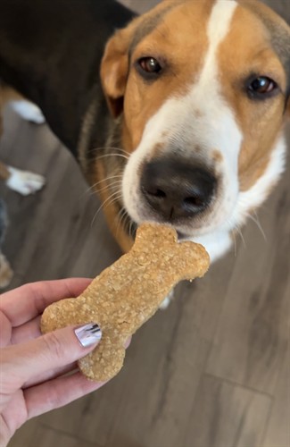 Gallery Image IMG_9678.jpeg Gallery Image IMG_9678.jpeg