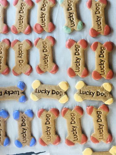 Our Lucky Dog Biscuits dipped in yogurt