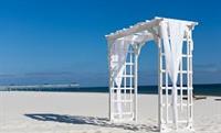 Our white wooden arbor. It's so striking against the deep blue sky, and the Gulf.