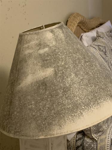 Mold can take over your home or business.  Toss this lamp shade