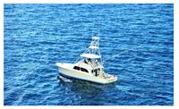 Lady Pamela Sport Fishing and Boat Rentals