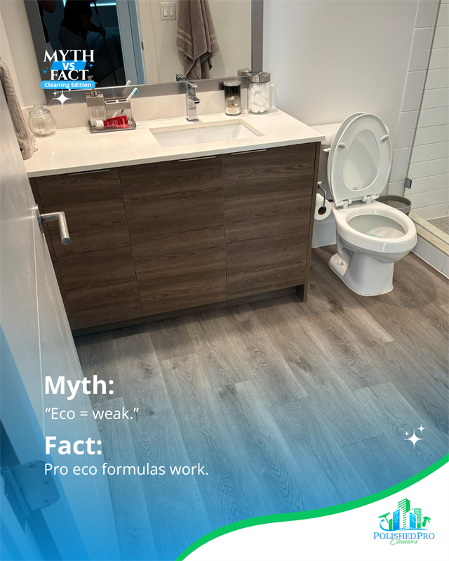 Gallery Image Cleaning_Edition_(2).png