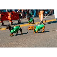 2025 FALL FESTIVAL PARADE Regsitration