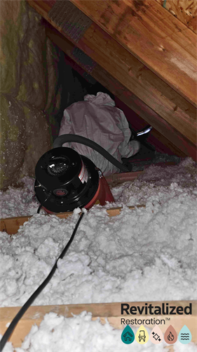 Working in tight attic and crawlspace conditions, following strict safety protocols every step of the way.