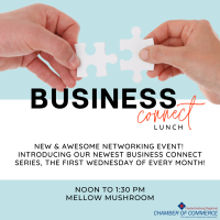 Business Connect Lunch