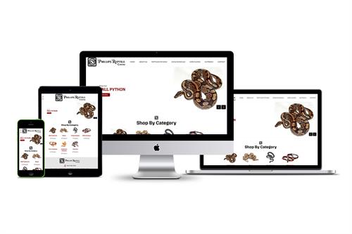 Custom Professional E-Commerce Website Custom Professional E-Commerce Website